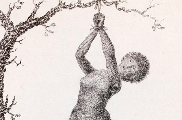 En tegning af en slavekvinde, der hænger ved hænderne fra et træ
