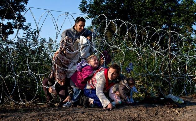 Familie af flygtninge kravler under et pigtrådshegn på grænsen mellem Ungarn og Serbien