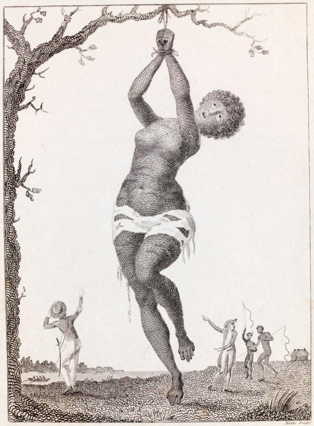 En tegning af en slavekvinde, der hænger ved hænderne fra et træ