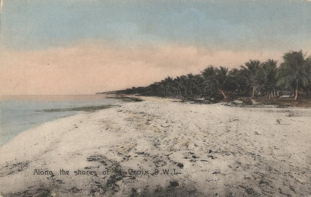 Ældre postkort i farver af en strand med blå himmel og palmetræer